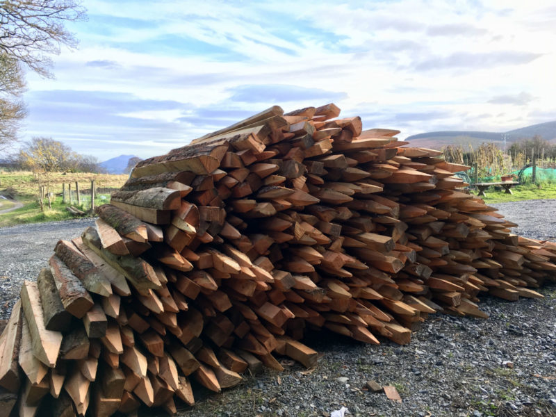 Larch Timber Posts
